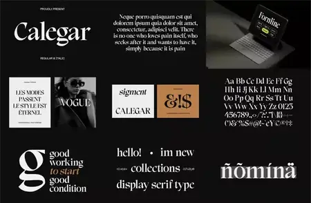 Calegar - Display Serif Font