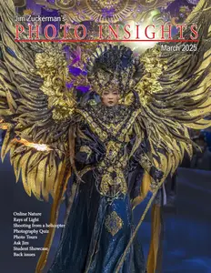 Photo Insights - March 2025