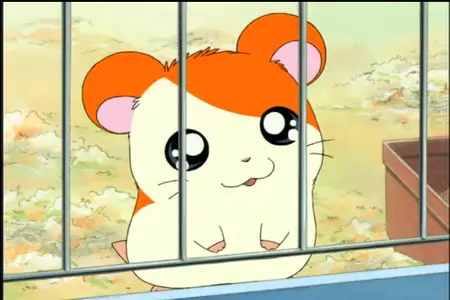 Hamtaro 05  - " Hamtaro 5 mkv" yEnc