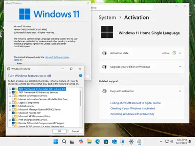 Windows 11 AIO 16in1 24H2 Build 26100.4946 (No TPM Required) Preactivated Multilingual August 2025