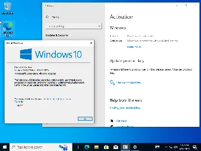 Windows 11 (No TPM Required) & Windows 10 AIO 32in1 Multilingual Preactivated June 2024