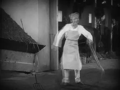 Flesh and the Devil (1926)
