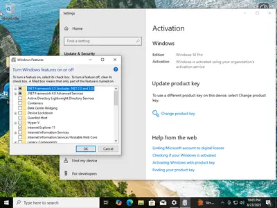 Windows 10 22H2 build 19045.6216 AIO 16in1 Multilingual (x64) Preactivated August 2025
