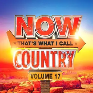 VA - NOW Thats What I Call Country! Vol.17 (2024)