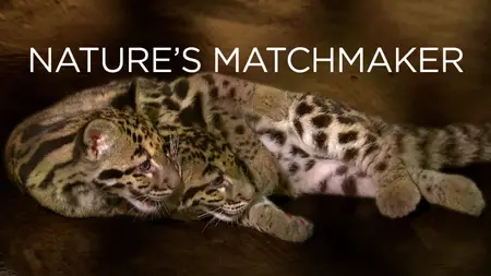 Nature's Matchmaker (2011)