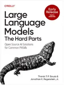 Large Language Models: The Hard Parts (Early Release)