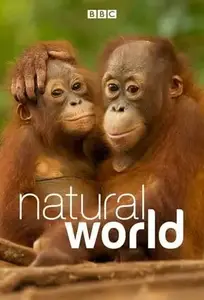 Natural World S37E01