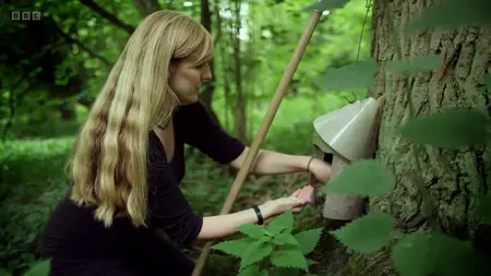 Natural World S37E01