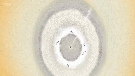 Natural World S37E01