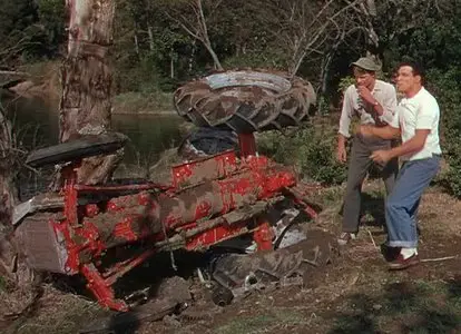Summer Stock (1950)
