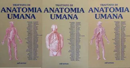 "Trattato di anatomia umana" - Opera in tre volumi, 4a edizione