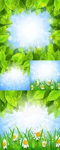 Green leaves & chamomile cards