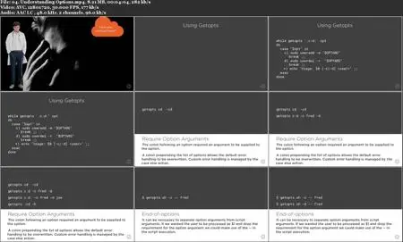 Operationalizing Bash and Z Shell Scripts