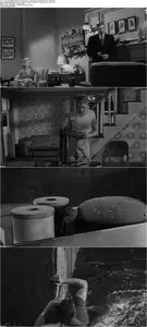 The Incredible Shrinking Man (1957)