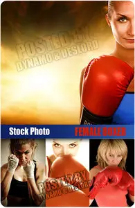 UHQ Stock Photo - Female Boxer