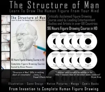 The Structure of Man HD [repost]