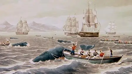 Attenborough's Passion Project (2016)