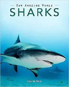 Sharks: Amazing Pictures & Fun Facts on Animals in Nature (Our Amazing World Series)