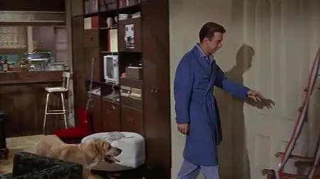 That Funny Feeling (1965)