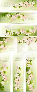 Spring banners vector