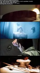 Occupant (2011)