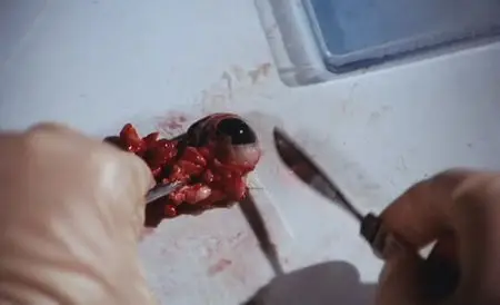French Sex Murders (1972)