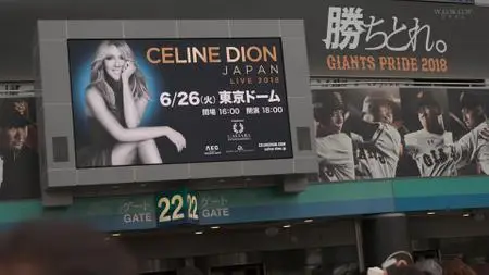 Celine Dion - Live at Tokyo Dome (2018) [HDTV, 1080i]