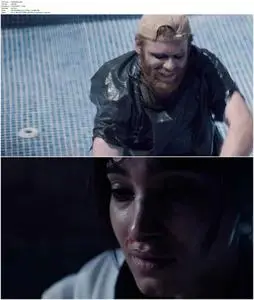 Tiger Raid (2016)