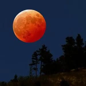 Secret Garden - Once in a Red Moon (2002)