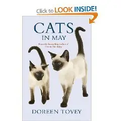 Cats in May