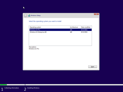 Windows 11 Pro/Enterprise Build 22000.132 (x64) (No TPM Required) Preactivated August 2021