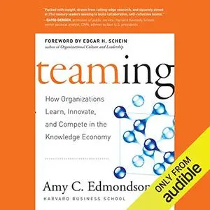 Teaming: How Organizations Learn, Innovate, and Compete in the Knowledge Economy [Audiobook]