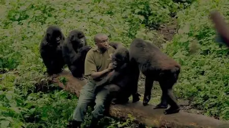 Netflix - Virunga (2014)