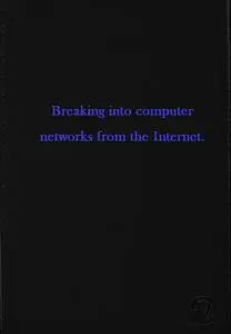 Breaking into computer networks from the Internet