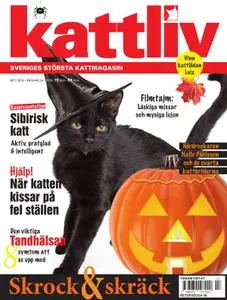 Kattliv – 15 oktober 2019