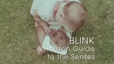 BBC - Blink: A Horizon Guide to the Senses (2012)