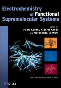 Electrochemistry of Functional Supramolecular Systems (repost)