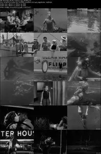Revenge of the Creature (1955)