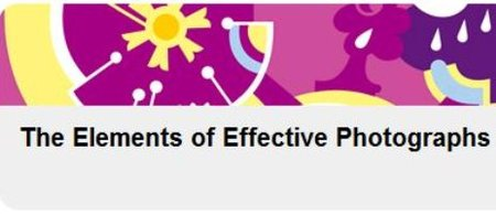Lynda - The Elements of Effective Photographs