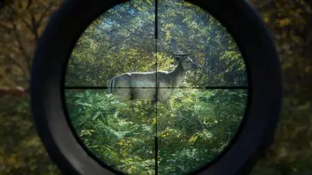 theHunter Call of the Wild (2017) v2649775