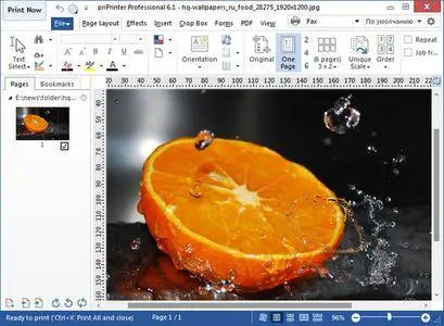 priPrinter Professional 6.4.0.2437 Beta