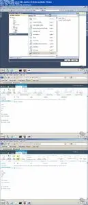 VTC - Microsoft SharePoint 2010 (70-573)