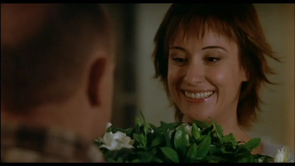 Je vous trouve très beau (2006)