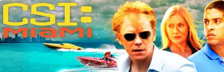 CSI: Miami S09E17