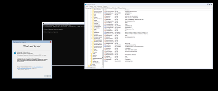 Windows Server, version 20H2 build 19042.746