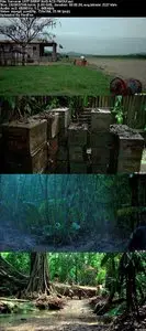 Sorcerer (1977)