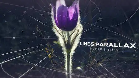 Lines Parallax Slideshow - Project for After Effects (VideoHive)