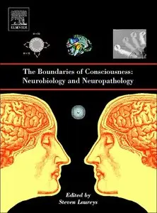 The Boundaries of Consciousness: Neurobiology and Neuropathology [Repost]