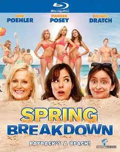 Spring Breakdown (2009)