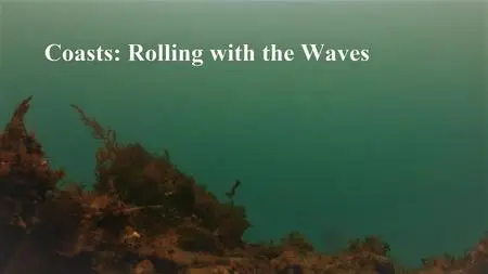 Doclights - Coasts: Rolling with the Waves (2020)